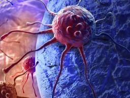 Deux tiers des cas de cancer jusqu'à «malchance», selon une nouvelle étude