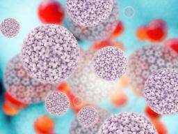 Zwei Drittel der gesunden amerikanischen Erwachsenen sind mit HPV infiziert ", heißt es in einer Studie