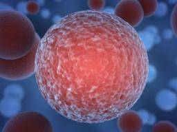 Ultrakleine Nanopartikel töten Krebszellen auf ungewöhnliche Weise