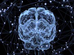 Unterentwickelte Netzwerke im Gehirn nach 30 Jahren können sich auf die psychische Gesundheit auswirken
