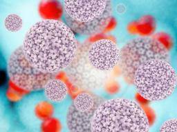 Urin-basierter HPV-Test "machbare Alternative für Gebärmutterhalskrebs-Screening"