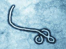 US hebt Ebola Screening für Reisende aus Mali