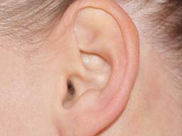 Eine Virusinfektion in der Nase kann eine bakterielle Infektion im Ohr auslösen