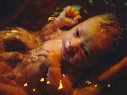 Prírodovedecké novorozence "nepredstavují zádné dalsí riziko"
