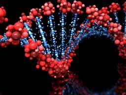 Co jsou to geny a proc jsou dulezité?