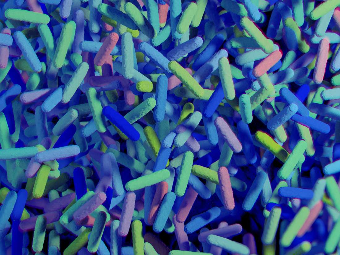 Was sind die Darm-Mikrobiota und das menschliche Mikrobiom?