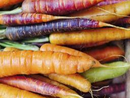 Was sind die gesundheitlichen Vorteile von Karotten?