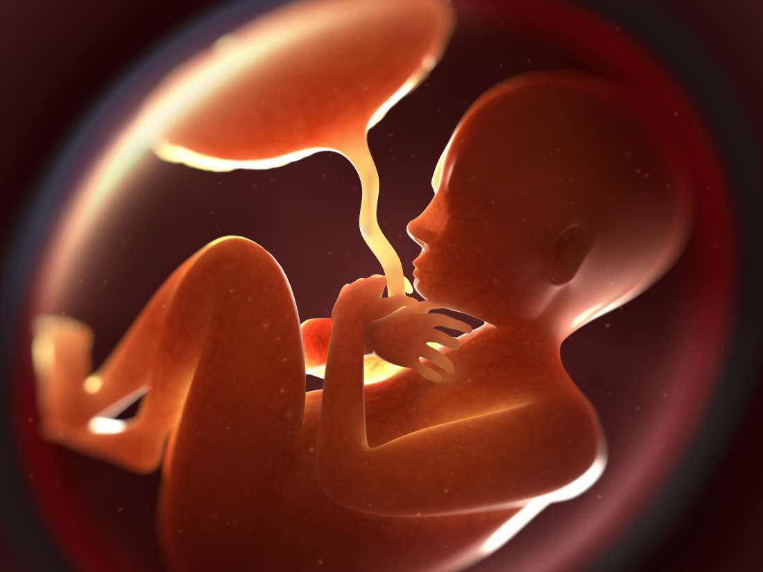 Was kann während der Schwangerschaft mit der Plazenta schief gehen?