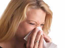 Kokios itakos gali tureti klimato kaita del alergijos?