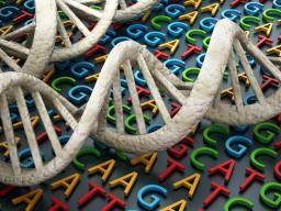 Qu'est-ce que l'ADN et comment ça marche?