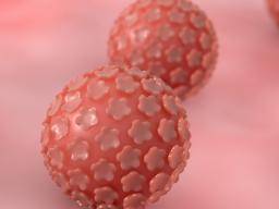 Co je to lidský papilomavirus (HPV)?