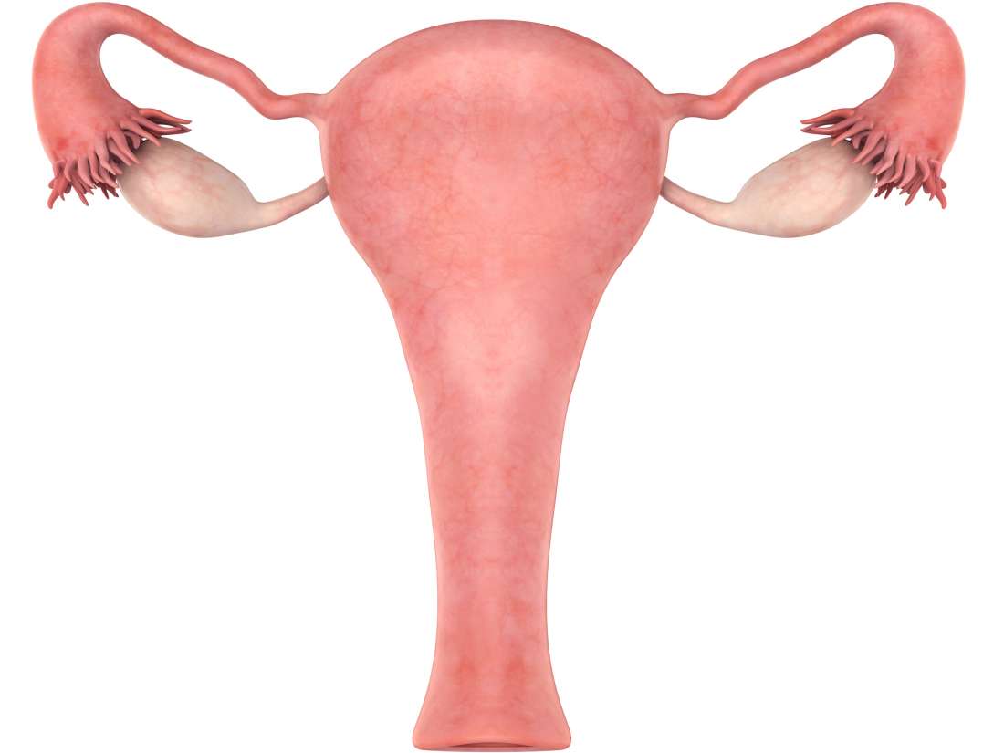 Ce qu'il faut savoir sur l'utérus élargi