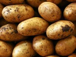 Was man über Kartoffelallergie wissen sollte