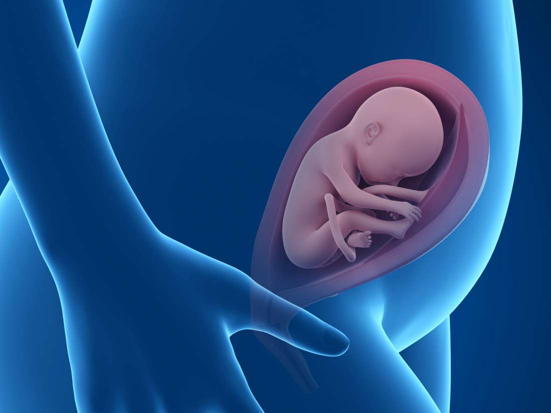 Was passiert in der 25. Schwangerschaftswoche?