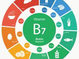Pourquoi avons-nous besoin de biotine ou de vitamine B7?