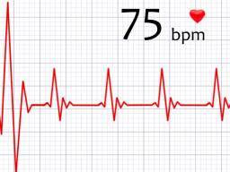 Moudrost ovlivnená variabilitou srdecní frekvence