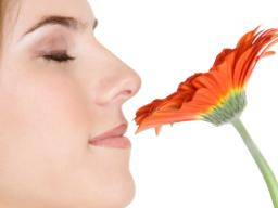Der feinere Geruchssinn von Frauen kann auf mehr Gehirnzellen zurückzuführen sein