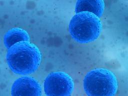 "Yorkie and Scalloped" - Gene, die Stammzellen zur Bekämpfung von Infektionen stimulieren