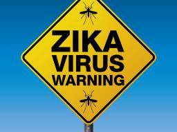 Es probable que la epidemia de Zika haya terminado en 2-3 años
