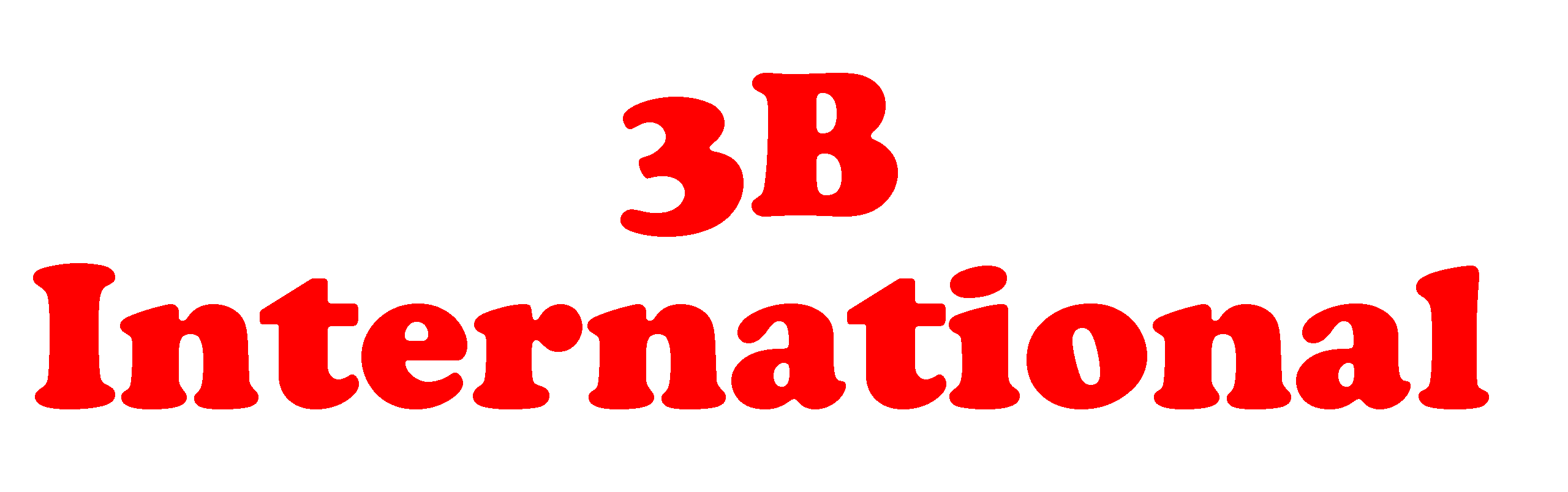 3B International